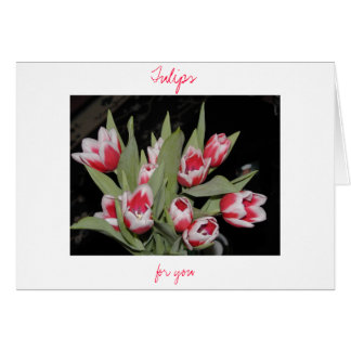Tulpen voor u