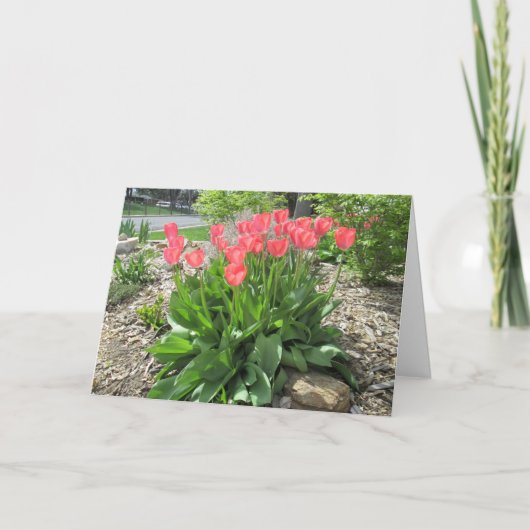 Tulpen worden snel gezond kaart (Voorkant)