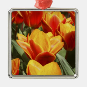 Tulpen zijn overvloedig aanwezig in de Keukenhof-t Metalen Ornament
