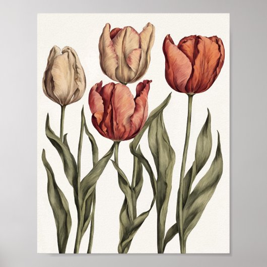 Tulpenbloem Poster (Voorkant)