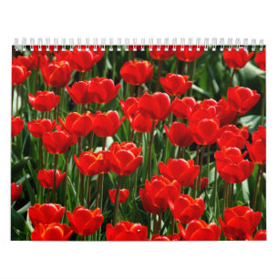 Tulpenbloemen Mooie tuin 2025 Kalender