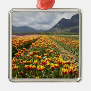 Tulpenboerderij nabij Agassiz, Brits-Columbia, Metalen Ornament