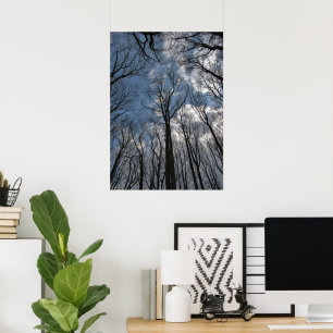 Tulpenbomen Bewolkte Blauwe Lucht Poster
