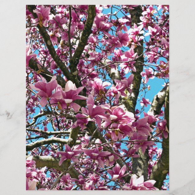 Tulpenboom (Voorkant)