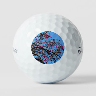Tulpenboom in bloei golfballen