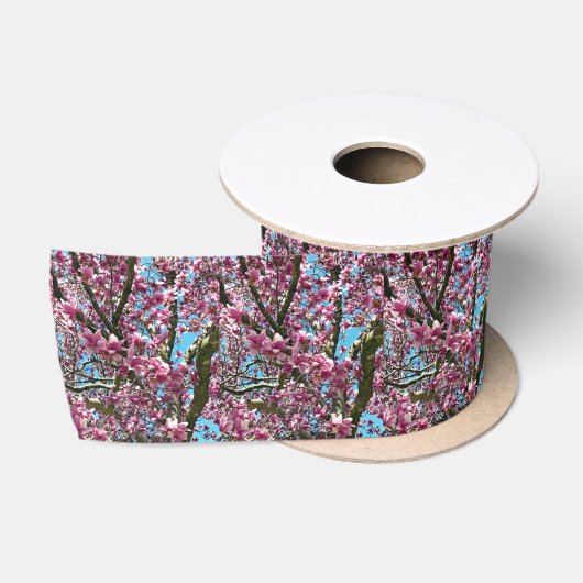 Tulpenboom Lint (Spoel)