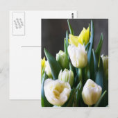 TulpenBriefkaart Briefkaart (Voorkant / Achterkant)