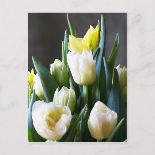 TulpenBriefkaart Briefkaart