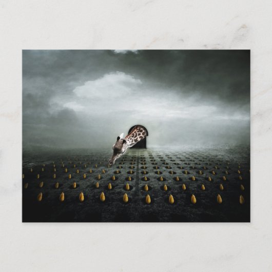 Tulpendief 2 2013 briefkaart (Voorkant)