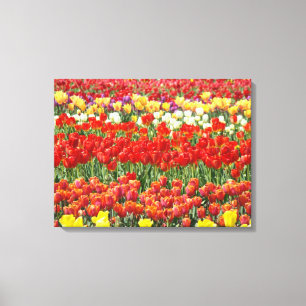 Tulpenfestival Kleurrijk Veld van Tulpen Fijne Kun Canvas Afdruk