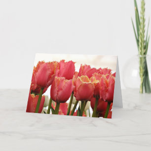 Tulpenfoto   Koraal en goud omzoomd Kaart