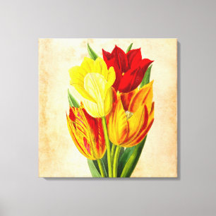 Tulpenoliesschilderij Canvas Afdruk