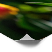 TulpenPoster Poster (Hoek)