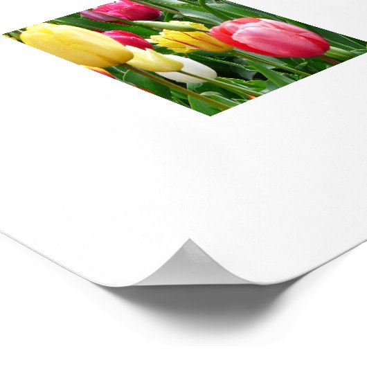TulpenPoster Poster (Hoek)