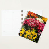 Tulpenvariëteit Planner (Display)
