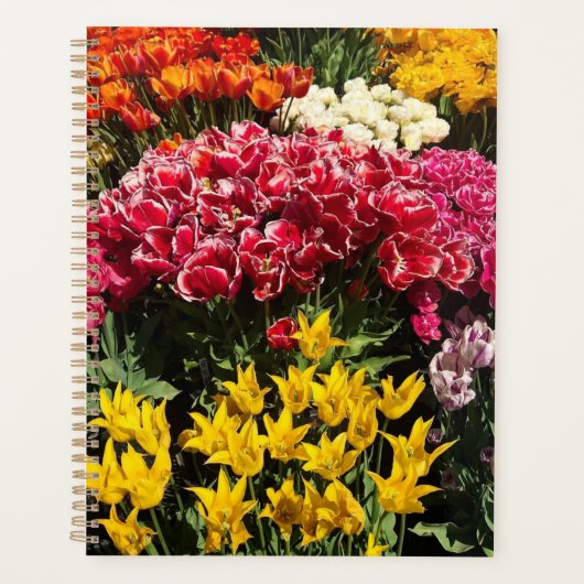 Tulpenvariëteit Planner (Voorkant)