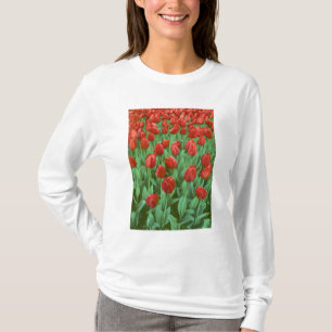 Tulpenveld bloeit in de lente. t-shirt