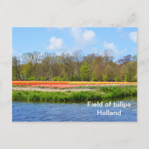 Tulpenveld in Nederland Briefkaart