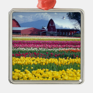 Tulpenveld Metalen Ornament