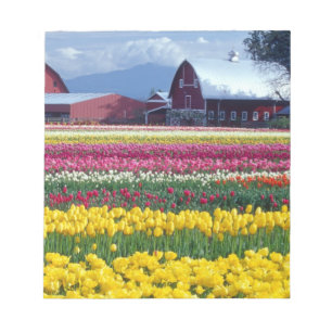 Tulpenveld Notitieblok