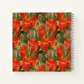 Tulpenveld....... Notitieboek (Achterkant)