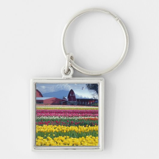 Tulpenveld Sleutelhanger (Voorkant)