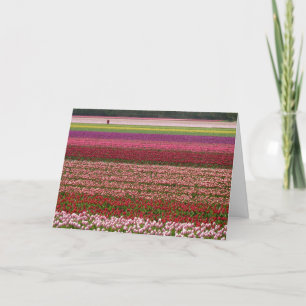 Tulpenvelden inspiratie kaart