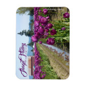 Tulpenvelden (Paarse) & Schuur (Skagit Valley) Magneet (Verticaal)