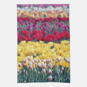 Tulpenweide in de Skagit-vallei, Theedoek