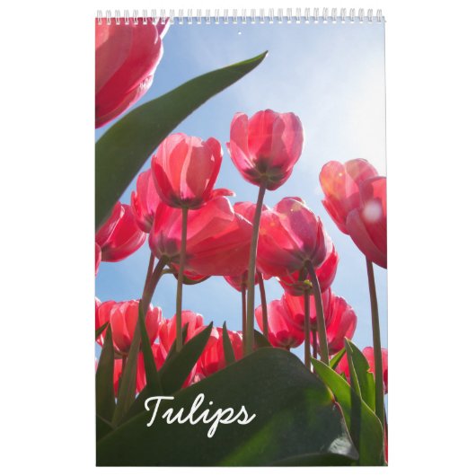 Tulpkalender Kalender (Hoes)