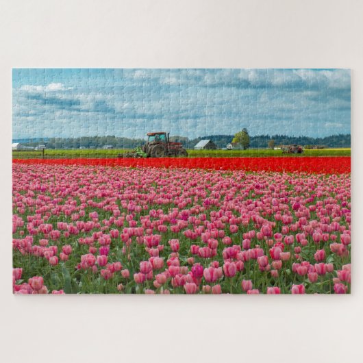 Tulplente van Skagit Valley Legpuzzel (Horizontaal)