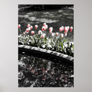 Tulpreflecties Poster
