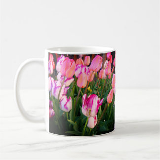 Tulps Peace Flame & Affaire #3 Mok