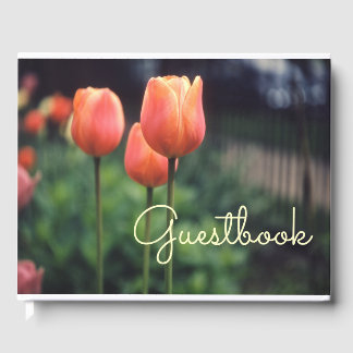 Tulps Spring Floral Tulip Garden Flowers Gastenboek