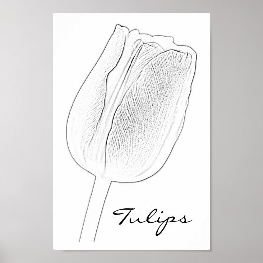Tulpschets Poster (Voorkant)