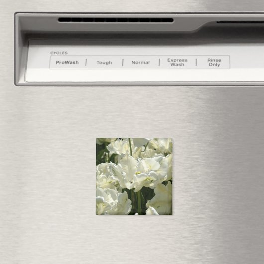 Tulpt het witte magneet (Insitu (Vaatwasser))