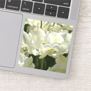 Tulpt het witte sticker