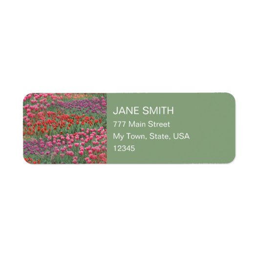 Tulpveld Etiket (Voorkant)