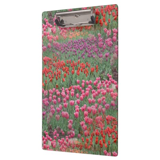 Tulpveld Klembord (Links)