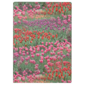 Tulpveld Klembord (Achterkant)