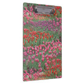 Tulpveld Klembord (Rechts)