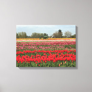Tulpveld met trekker en schuur canvas afdruk