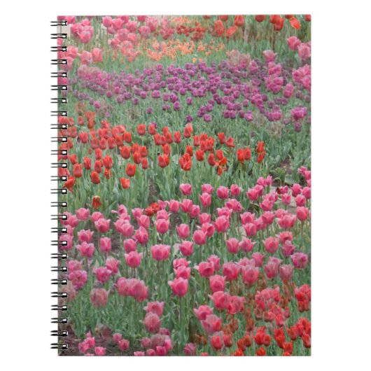 Tulpveld Notitieboek (Voorkant)