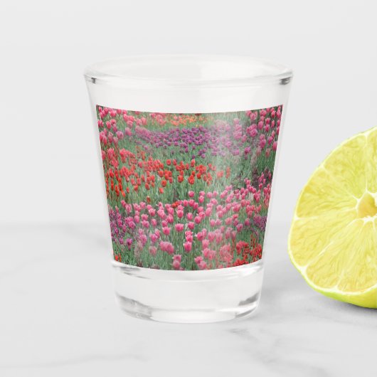 Tulpveld Shot Glas (Voorkant)