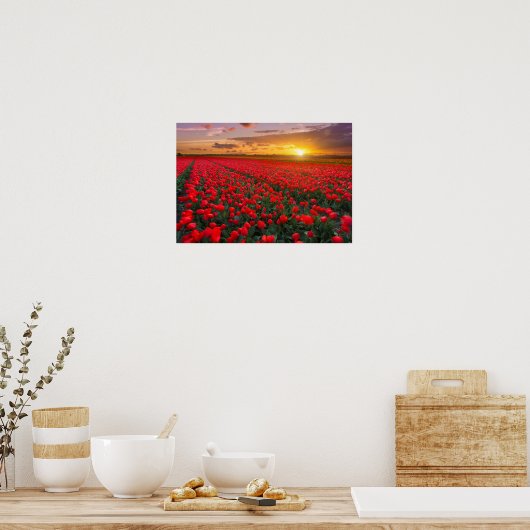 Tulpvelden op zonsondergang in Nederland Poster (Keuken)