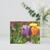 Tulpventiel Briefkaart (Staand voorkant)