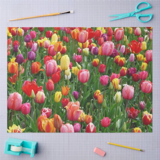 Tulpventiel Tissuepapier (Craft)