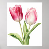 Tulpventilator, roze tulp, minimalistisch, botanis poster (Voorkant)