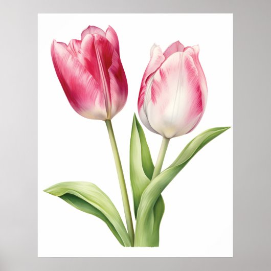 Tulpventilator, roze tulp, minimalistisch, botanis poster (Voorkant)