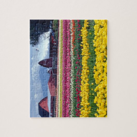 Tulpweergaveveld Legpuzzel (Verticaal)